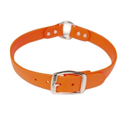 Dog Collars